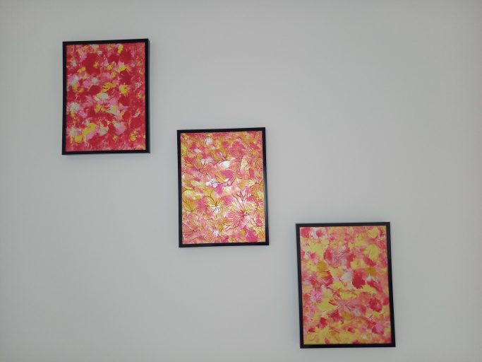"Fleurs de pétales" Trois tableaux aux couleurs vives de rose et jaune, accrochés sur un mur blanc.